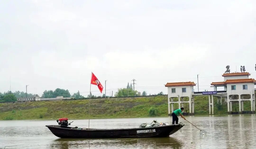 碧水清波绿洞庭——西洞庭湖水环境治理综述(图4)