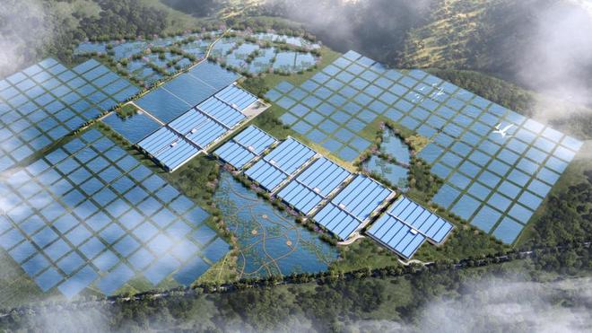 kaiyun网站：喜报！天马科技集团入选“2025福建省农业产业化龙头企业100强”(图5)