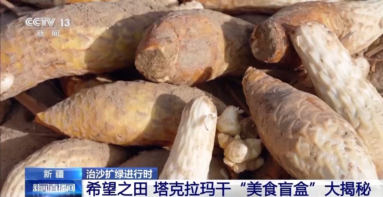从“死亡之海”到“水产绿洲”解锁新疆“点沙成金”的密码→(图2)