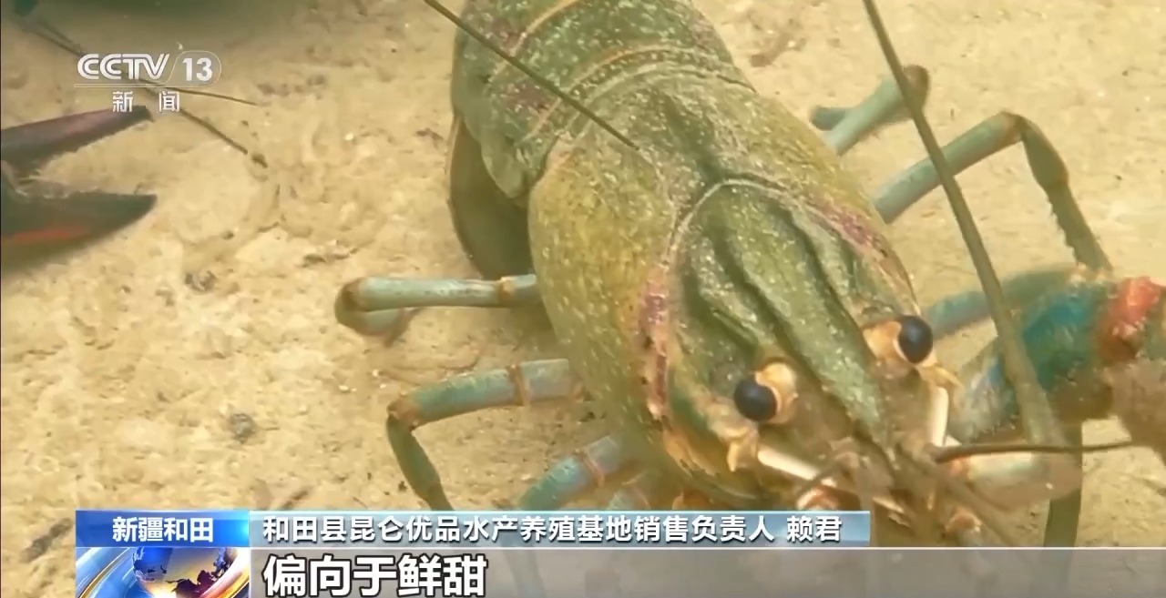 从“死亡之海”到“水产绿洲”解锁新疆“点沙成金”的密码→(图5)