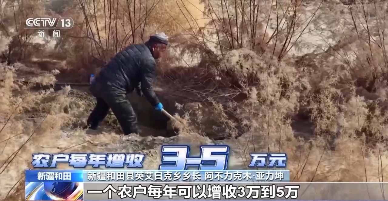 从“死亡之海”到“水产绿洲”解锁新疆“点沙成金”的密码→(图3)
