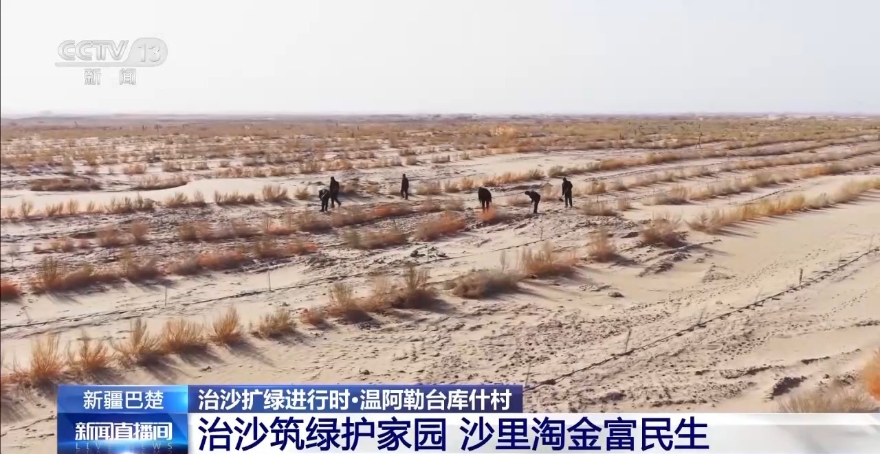 从“死亡之海”到“水产绿洲”解锁新疆“点沙成金”的密码→(图31)