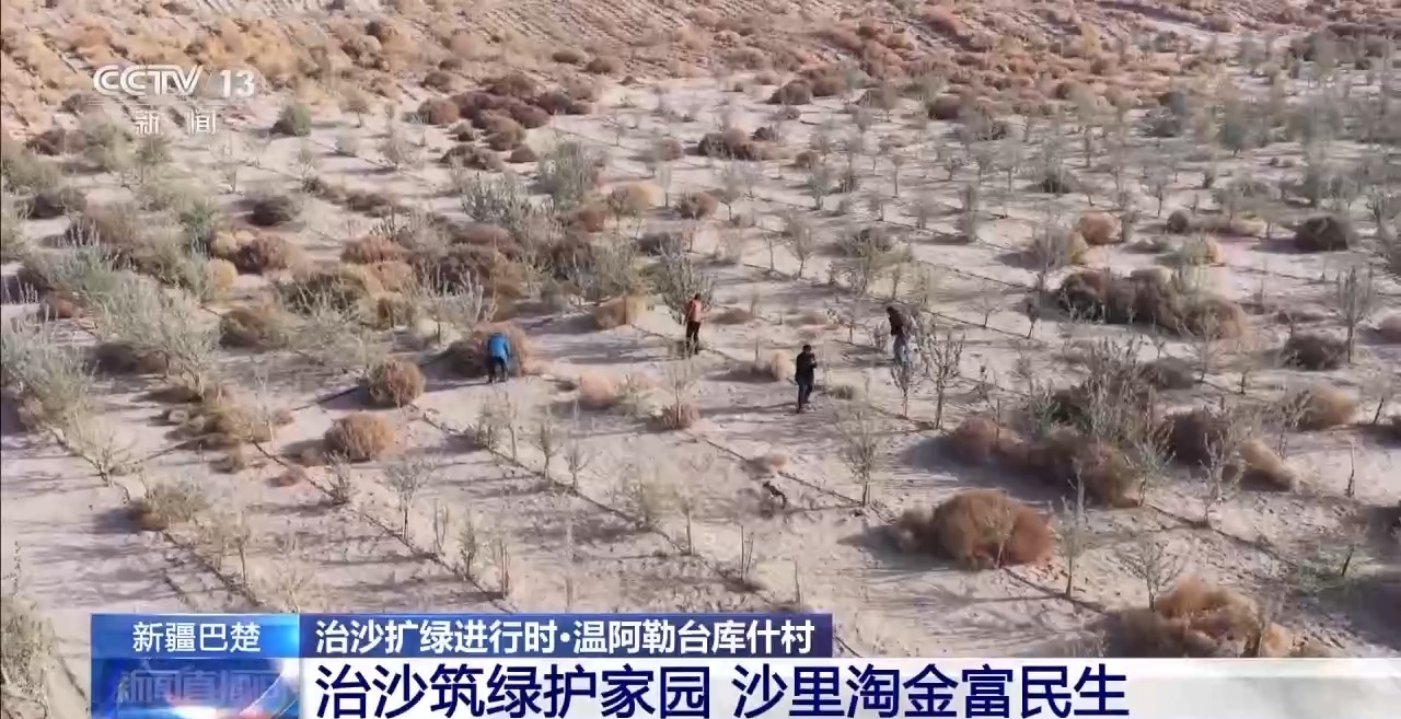 从“死亡之海”到“水产绿洲”解锁新疆“点沙成金”的密码→(图36)