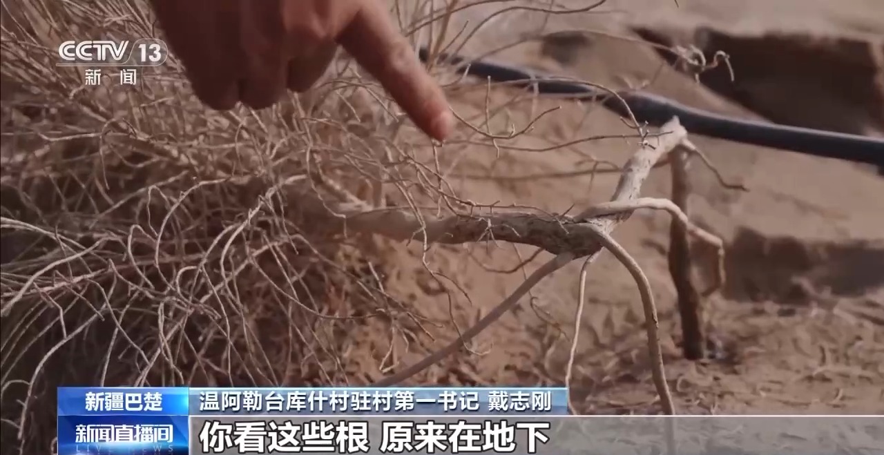 从“死亡之海”到“水产绿洲”解锁新疆“点沙成金”的密码→(图32)