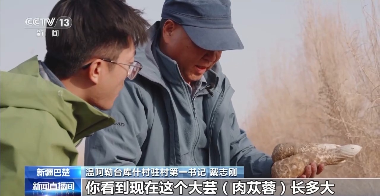 从“死亡之海”到“水产绿洲”解锁新疆“点沙成金”的密码→(图35)