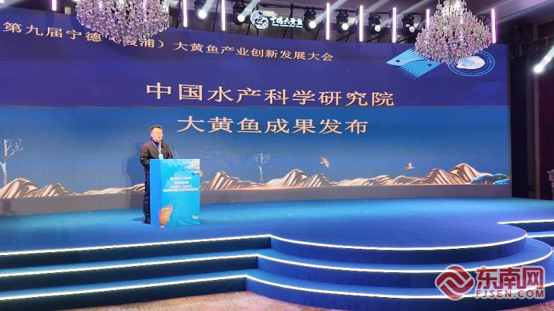 kaiyun网站：第九届宁德（霞浦）大黄鱼产业创新发展大会举办(图3)