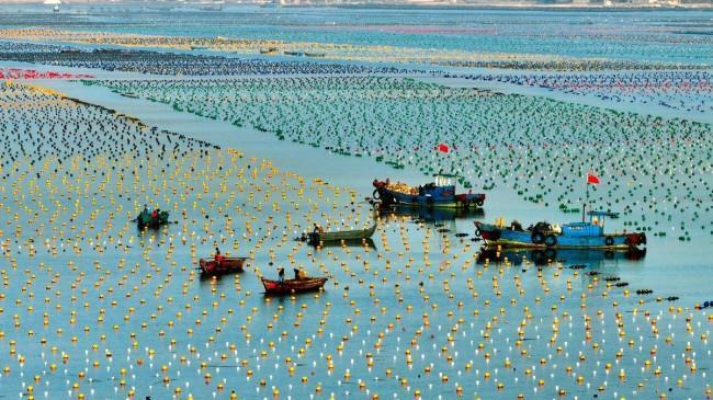 青春华章向海图强齐鲁向“蓝”：从“讨海人”到“牧海者”(图2)