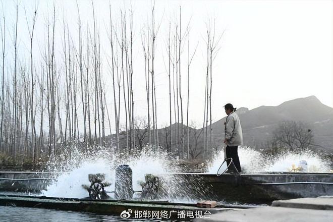 kaiyun：太行深处鱼跃“金”——看涉县如何让鲟鱼“游”出生态富民产业链(图4)