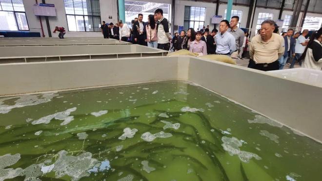 品质渔仓链通四海！顺德举行优质水产品品牌推广暨产销对接大会(图9)
