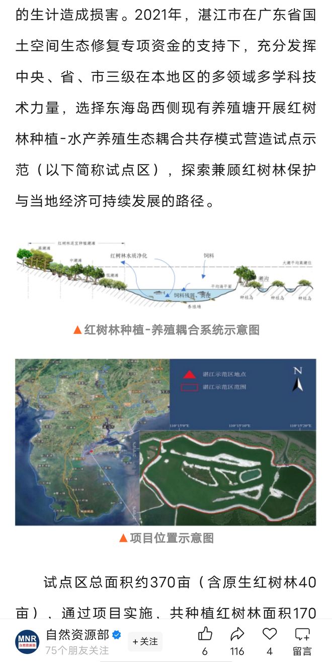 kaiyun：“明星农场”因红树林保护规划被拆当事人起诉镇政府(图7)