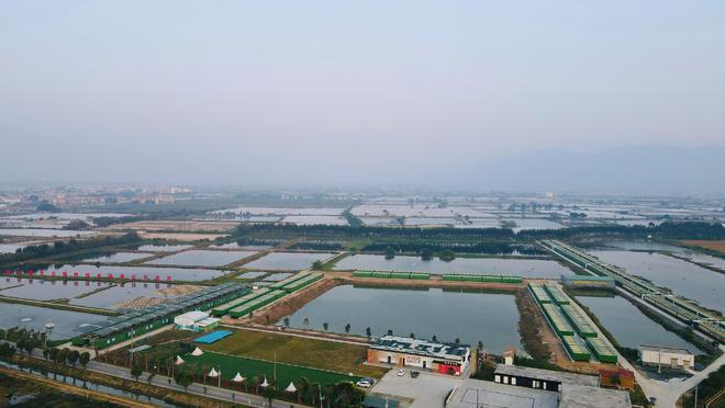 中国水产消费正在进入30时代(图3)