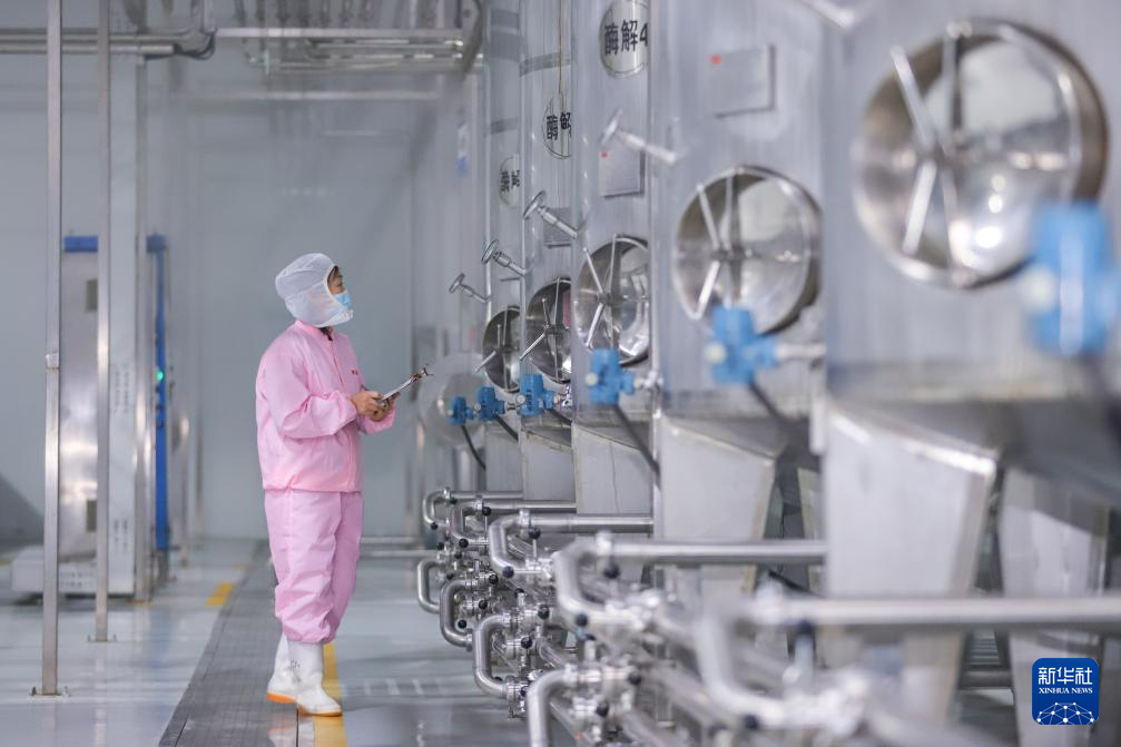 经济大省挑大梁“齐鲁粮仓”的“稳”与“进”(图4)