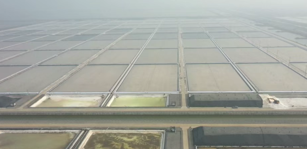 江苏银宝集团盐业公司谱写转型升级新篇章(图1)