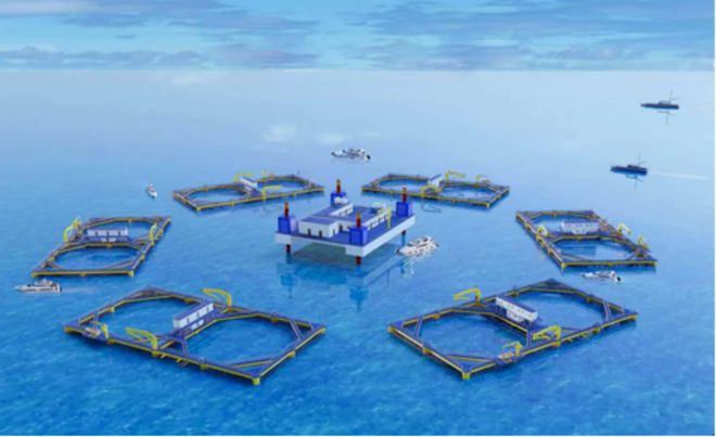 中国人寿财险山东省分公司“三维赋能”海洋产业发展：“耕海牧渔”无惧“风高浪急”(图4)