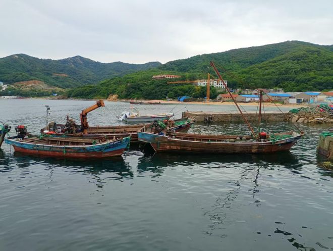 中国人寿财险山东省分公司“三维赋能”海洋产业发展：“耕海牧渔”无惧“风高浪急”(图8)