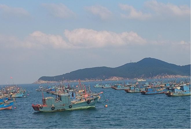 中国人寿财险山东省分公司“三维赋能”海洋产业发展：“耕海牧渔”无惧“风高浪急”(图10)