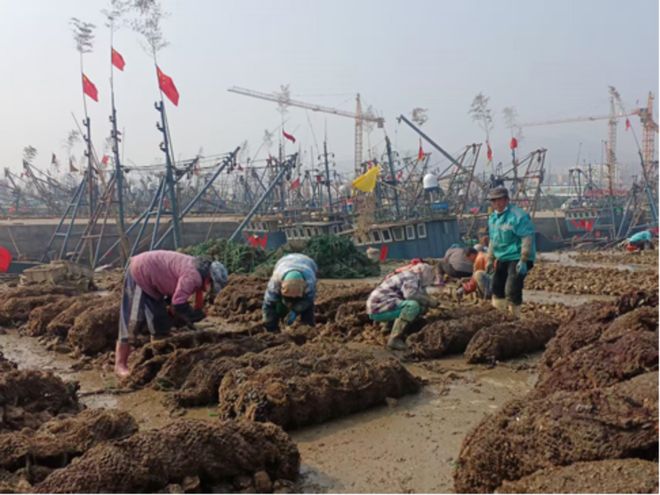 中国人寿财险山东省分公司“三维赋能”海洋产业发展：“耕海牧渔”无惧“风高浪急”(图9)