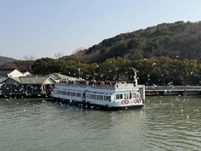 别人卷分数无锡“卷”水质！太湖这份成绩单太硬核(图8)