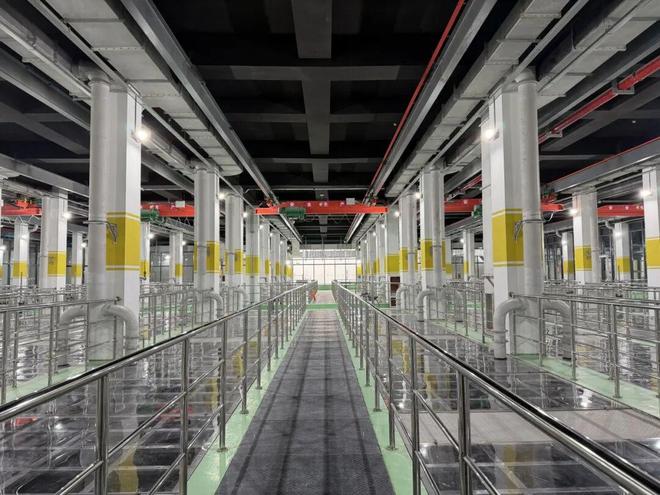 别人卷分数无锡“卷”水质！太湖这份成绩单太硬核(图5)