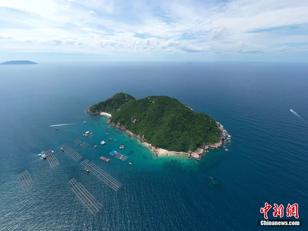 kaiyun入口：海南这座小城何以成为中国“东星斑之乡”？(图11)