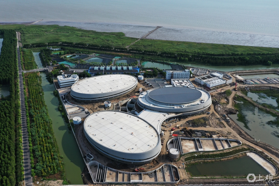 在长江“终点”守望生命“起点”：上海与一尾鲟的“生态之约”(图2)