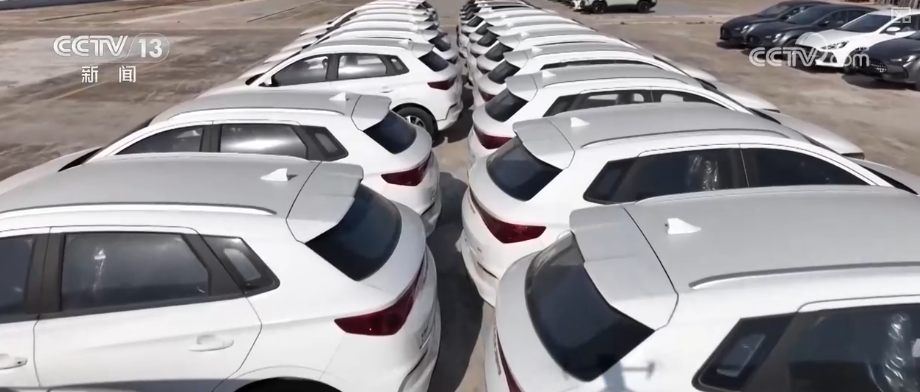 kaiyun入口：“迅猛增长”“进口+产业”“零突破”活力涌动！从关键词里解码区域外贸亮点(图4)