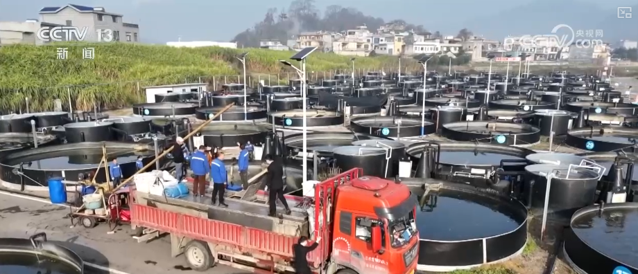 kaiyun入口：“迅猛增长”“进口+产业”“零突破”活力涌动！从关键词里解码区域外贸亮点(图24)