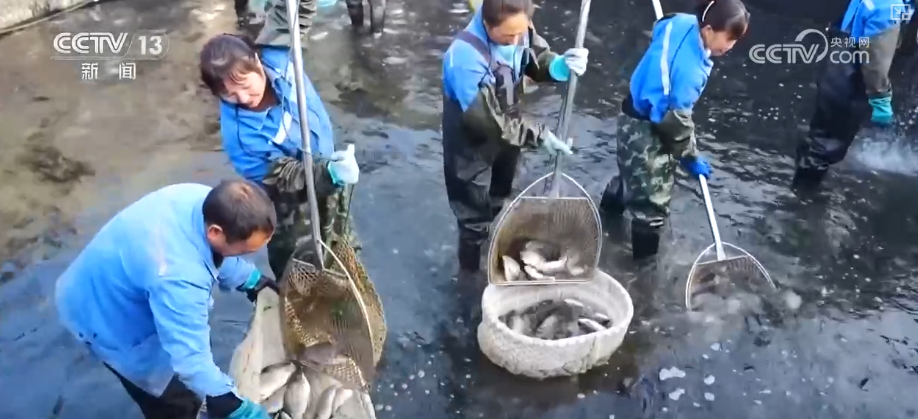 kaiyun入口：“迅猛增长”“进口+产业”“零突破”活力涌动！从关键词里解码区域外贸亮点(图25)