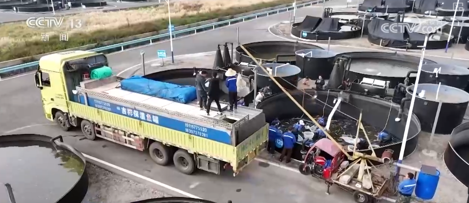 kaiyun入口：“迅猛增长”“进口+产业”“零突破”活力涌动！从关键词里解码区域外贸亮点(图26)