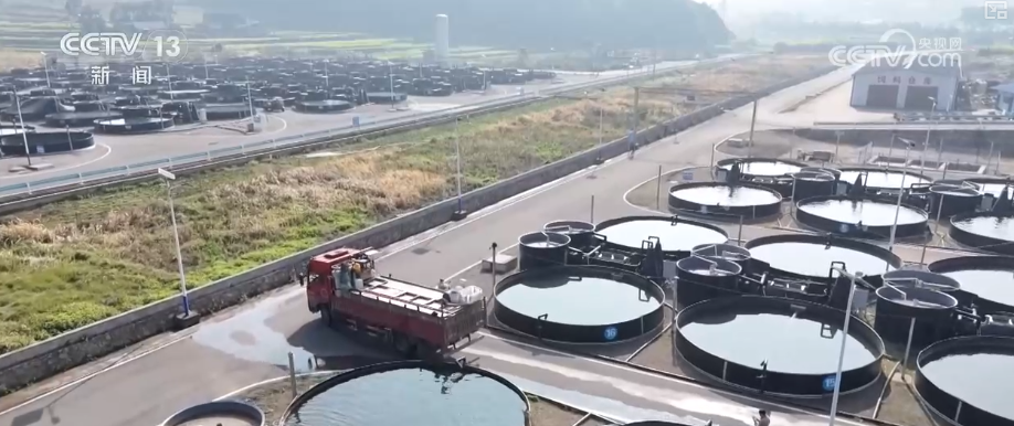 kaiyun入口：“迅猛增长”“进口+产业”“零突破”活力涌动！从关键词里解码区域外贸亮点(图29)