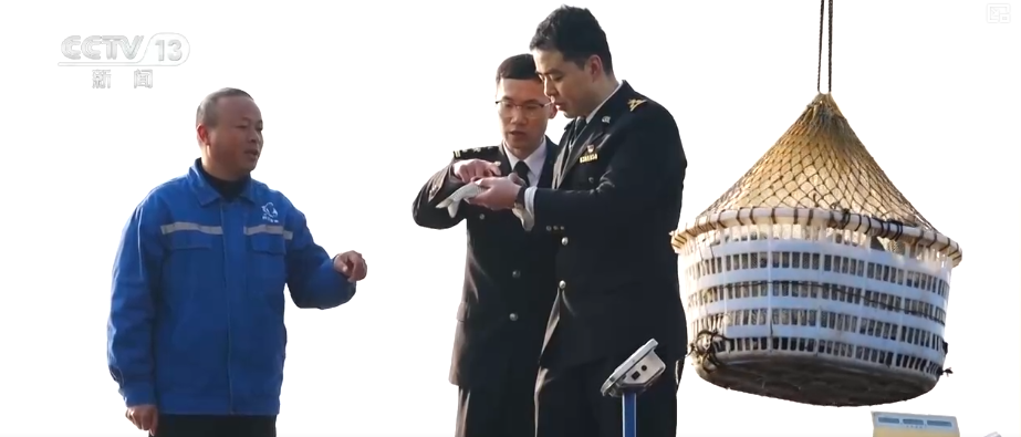 kaiyun入口：“迅猛增长”“进口+产业”“零突破”活力涌动！从关键词里解码区域外贸亮点(图27)