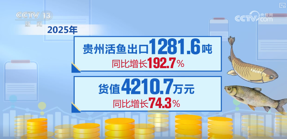 kaiyun入口：“迅猛增长”“进口+产业”“零突破”活力涌动！从关键词里解码区域外贸亮点(图30)