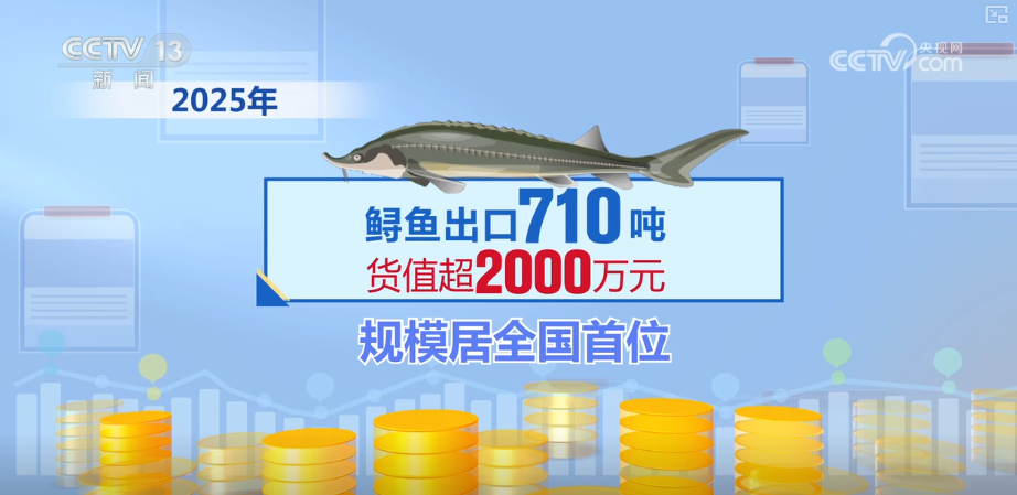 kaiyun入口：“迅猛增长”“进口+产业”“零突破”活力涌动！从关键词里解码区域外贸亮点(图31)