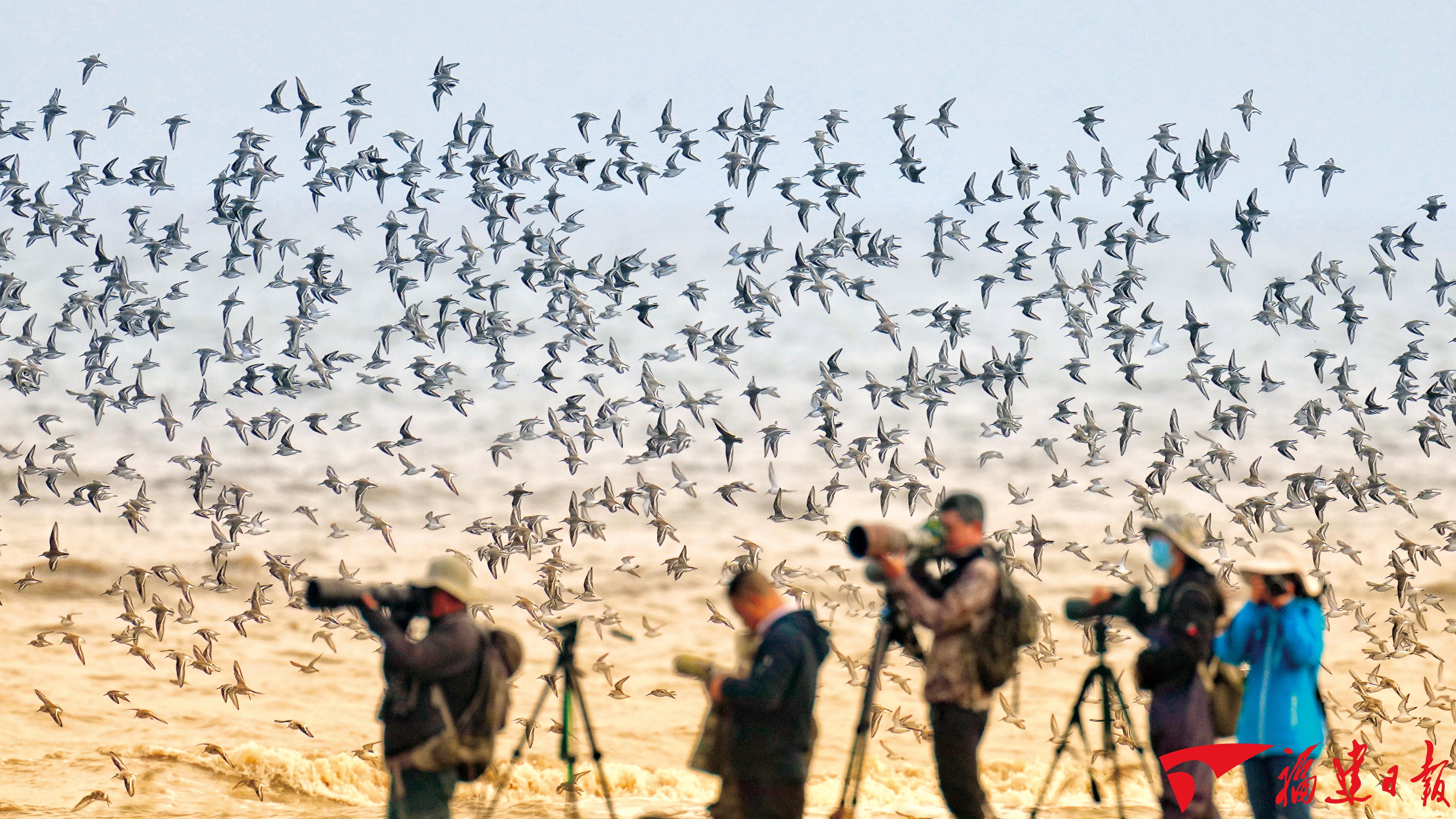 图说福建“十四五”高质量发展(图16)