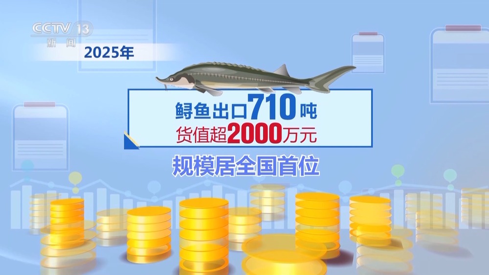 kaiyun：“压舱石”更稳固2025年我国区域外贸亮点纷呈(图9)