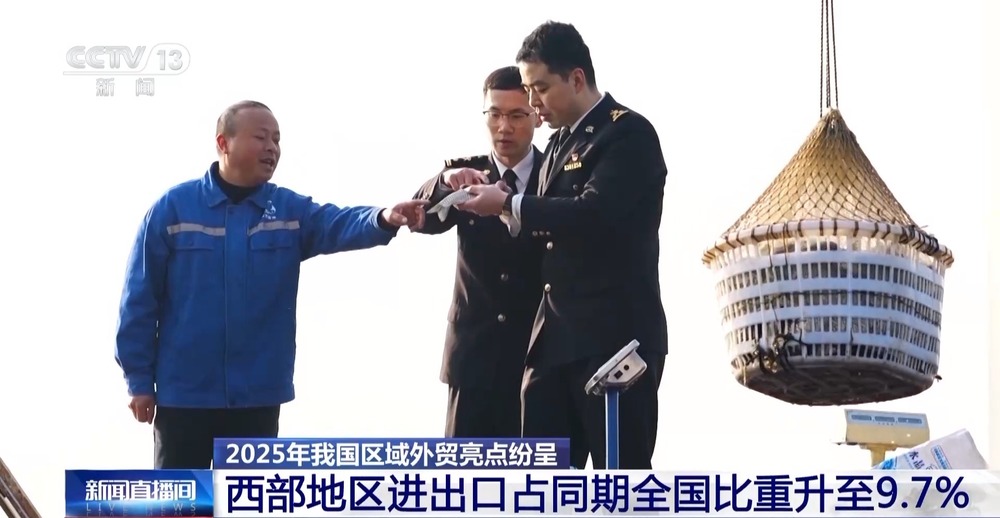 kaiyun：“压舱石”更稳固2025年我国区域外贸亮点纷呈(图8)