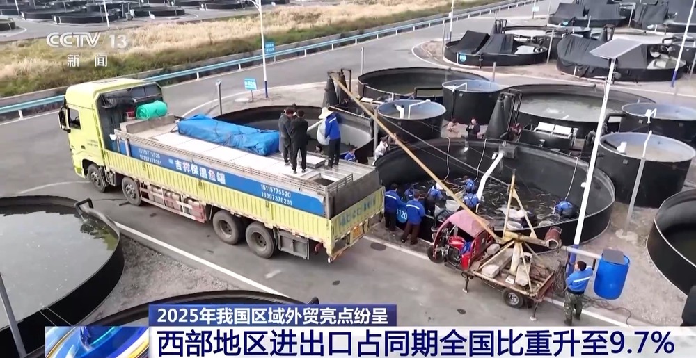 kaiyun：“压舱石”更稳固2025年我国区域外贸亮点纷呈(图7)