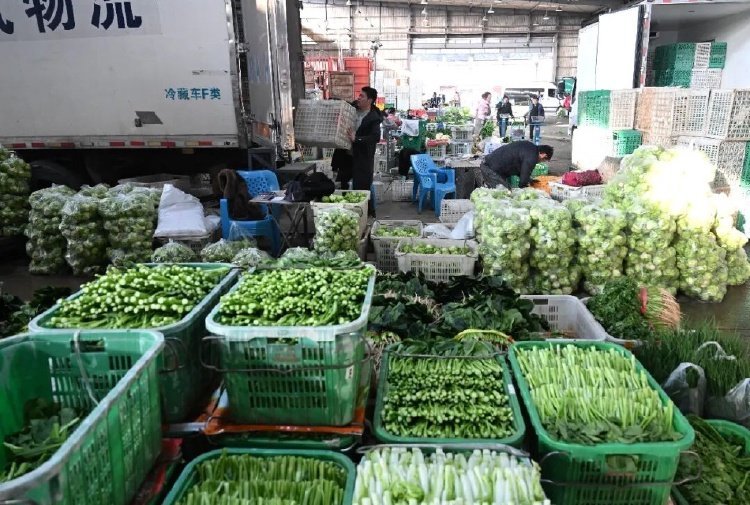 “菜篮子”里盛满了中国好日子(图3)