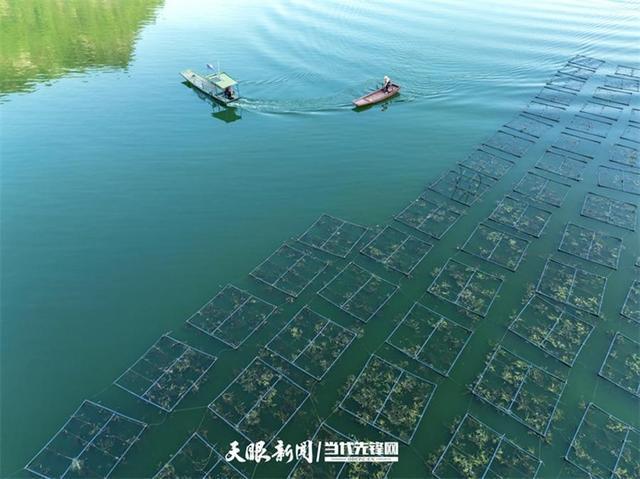 大江奔腾“国宝”归来(图5)