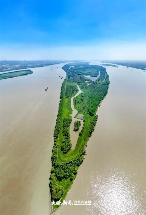 大江奔腾“国宝”归来(图19)