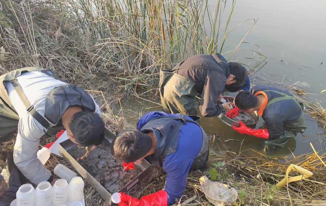 党媒联动｜黄河好鱼知道(图3)