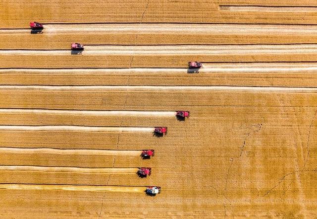 习近平的两会时间丨“搞农业要把种业搞上去”(图3)