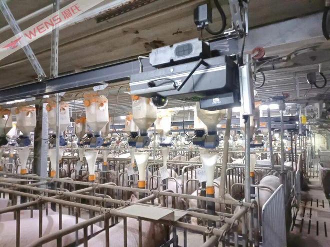 kaiyun入口：践行两会声音温氏股份以实干推动畜牧业高质量发展(图5)