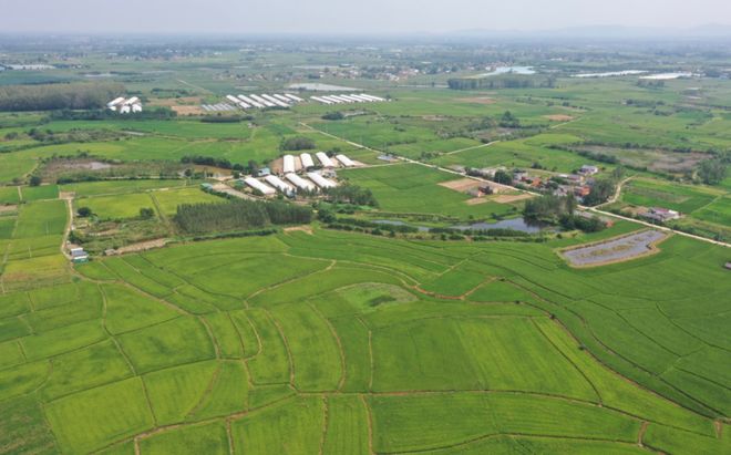 kaiyun入口：践行两会声音温氏股份以实干推动畜牧业高质量发展(图3)