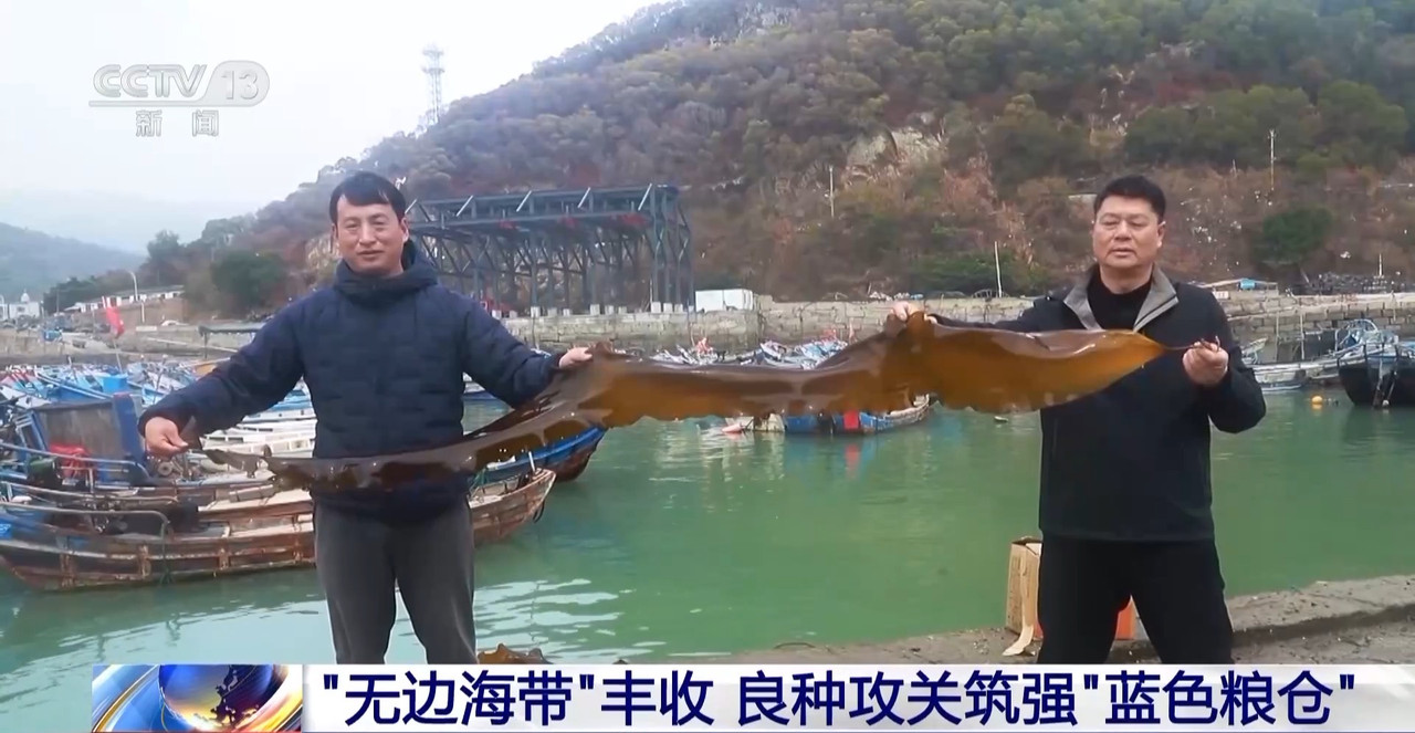 筑牢“蓝色粮仓”我国海洋渔业种源攻关连获突破(图2)