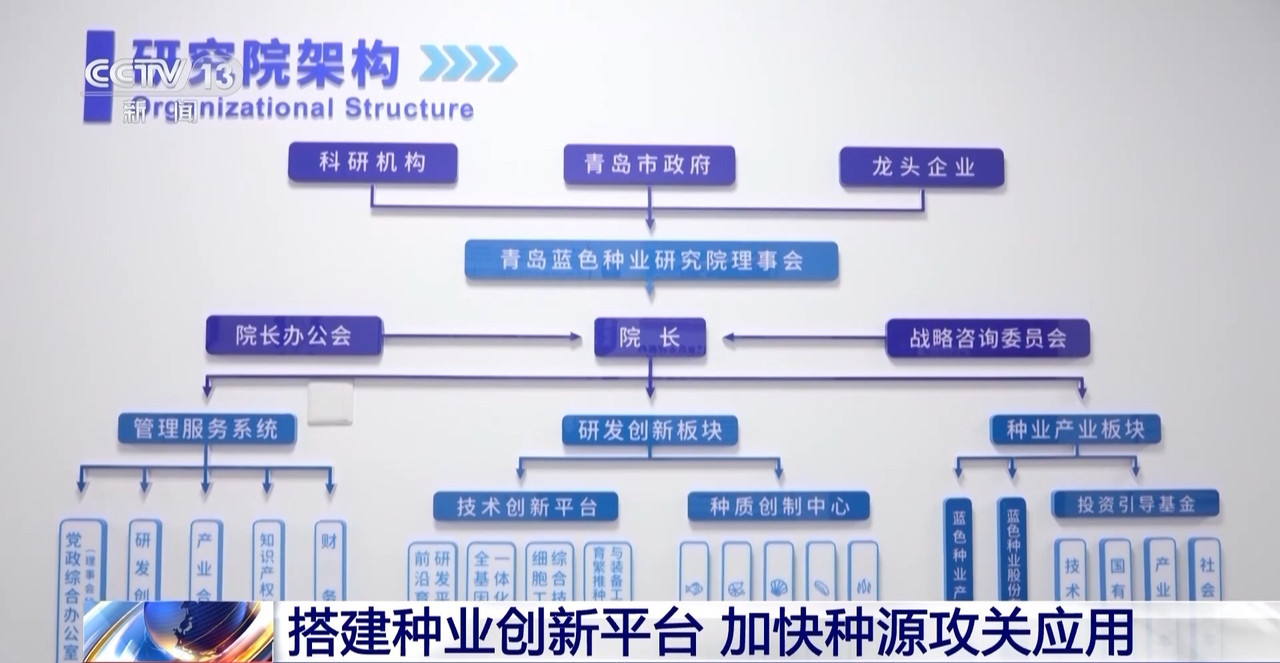 筑牢“蓝色粮仓”我国海洋渔业种源攻关连获突破(图8)