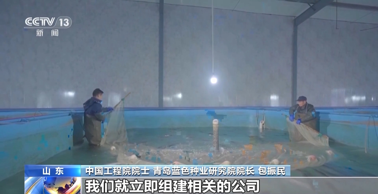 筑牢“蓝色粮仓”我国海洋渔业种源攻关连获突破(图9)