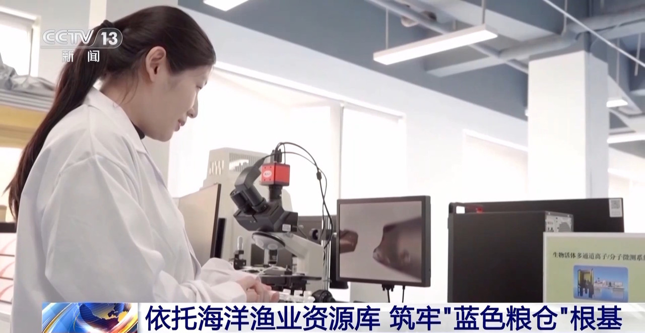 筑牢“蓝色粮仓”我国海洋渔业种源攻关连获突破(图12)