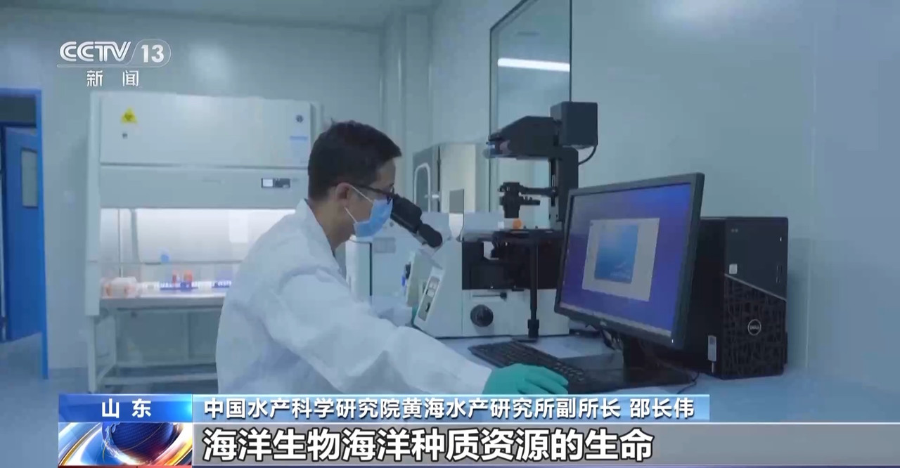 筑牢“蓝色粮仓”我国海洋渔业种源攻关连获突破(图13)