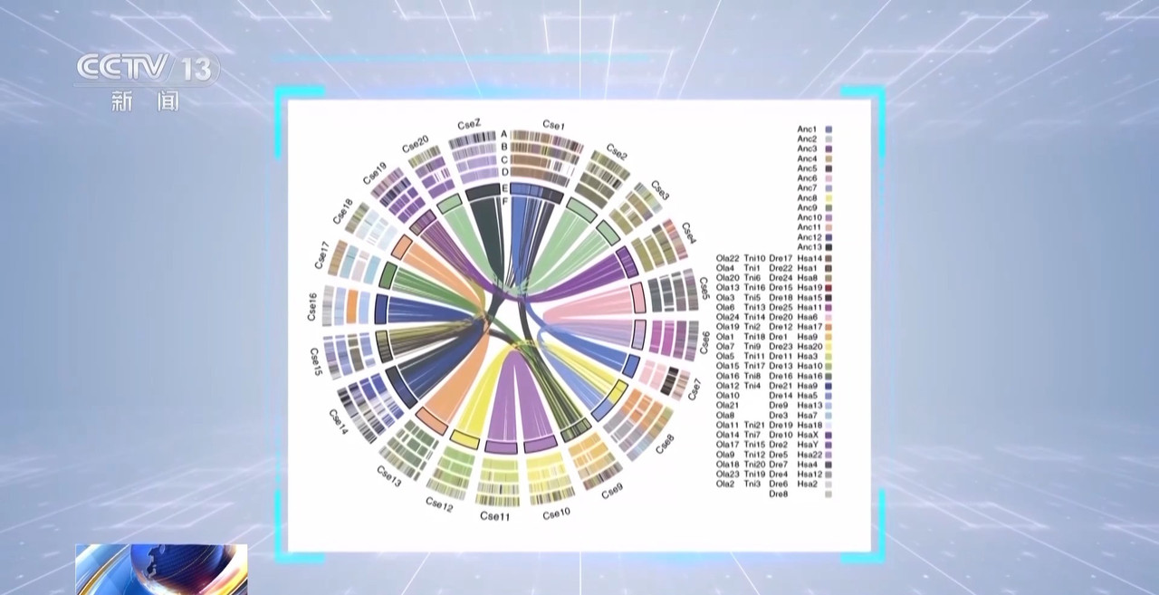 筑牢“蓝色粮仓”我国海洋渔业种源攻关连获突破(图14)